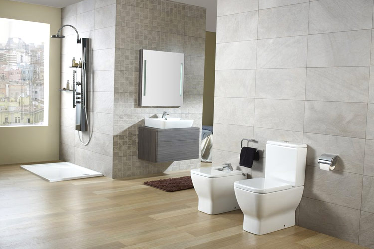servicio baño roso sanitario