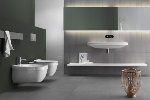 servicio baño roso sanitario