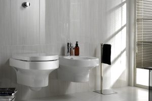 servicio baño roso sanitario