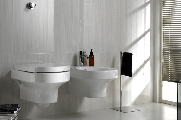 servicio baño roso sanitario
